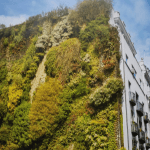 Mehr Grün in der Stadt