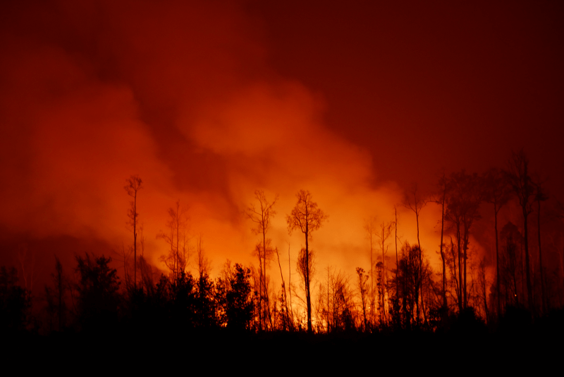 Feuer in Indonesien